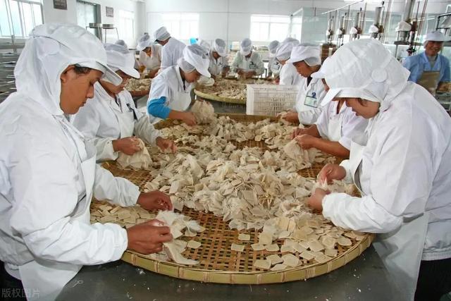 在乡镇，利润大到吓人的6个小生意，放下面子，一年可挣二十几万