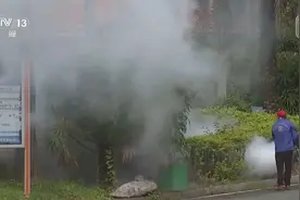 广东开展灭蚊行动，疫情快速上升势头已得到初步遏制！广州：市民可查身边蚊媒风险图片