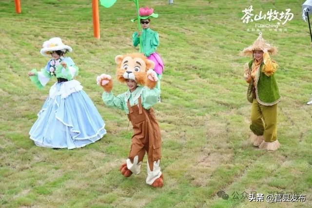 茶山牧场正式投入运营！日照又新增一打卡地