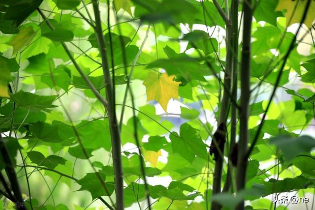 注意两性关系！男人过50岁，绝对不要在女人面前，说以下6句话