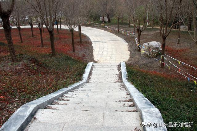 小丹河(老坝河水库西段)立冬那天的风光