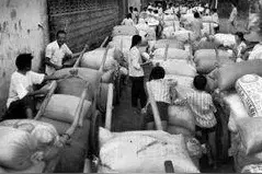 交公粮就等于交社保吗？图片