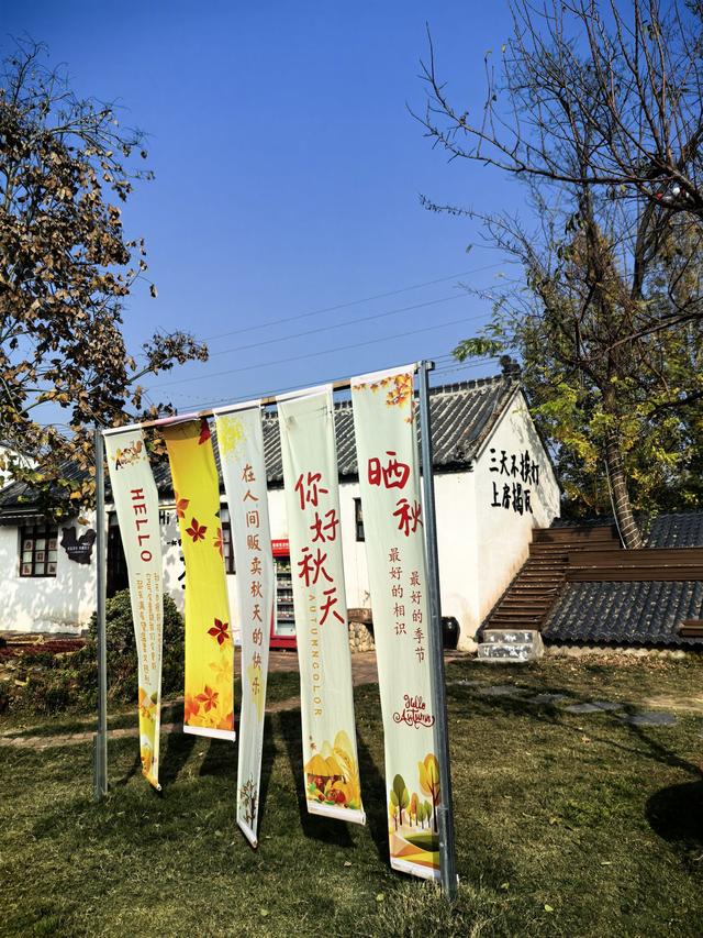 康台印象：藏在豫西南的“老家”