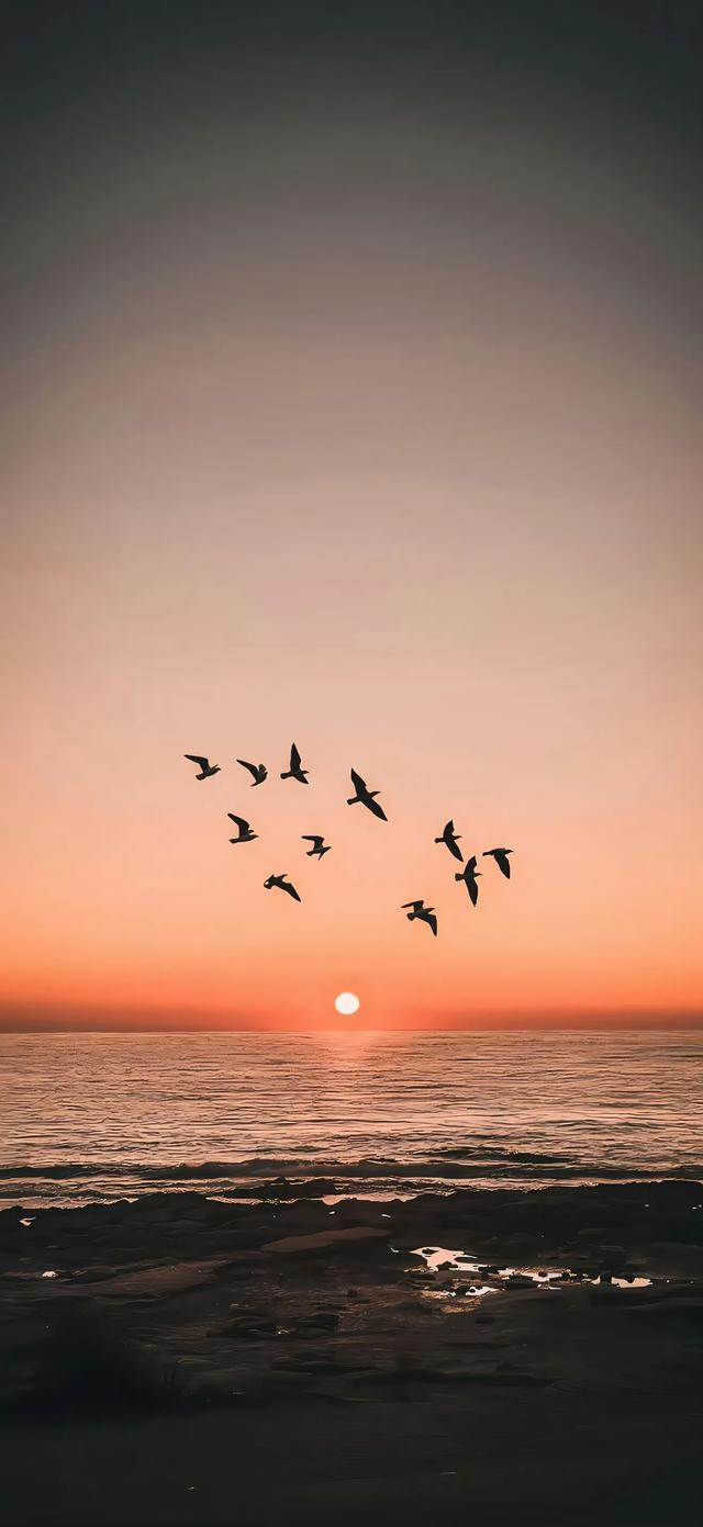 风景壁纸来报到