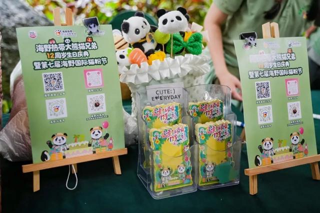 海野热带大熊猫兄弟十二周岁生日庆典暨第七届海野国际熊猫粉丝节盛大启幕！