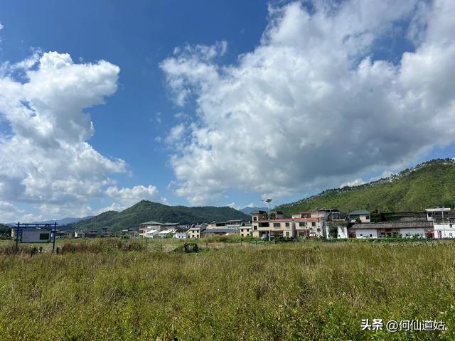 新丰秀田，是来看古树的
