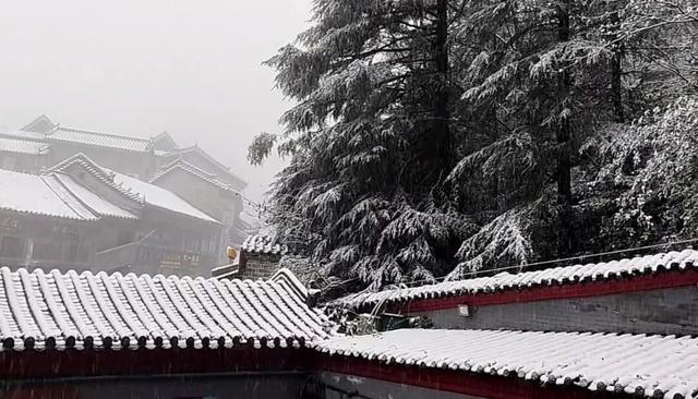 武当山迎今冬瑞雪 10厘米积雪绘就冰雪秘境