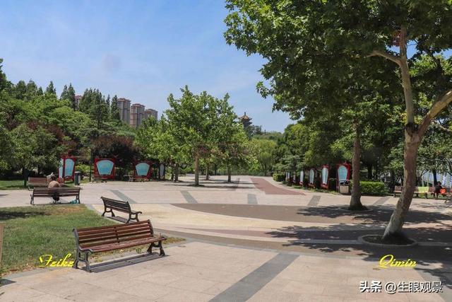 影记 | 青岛李沧文化公园掠影