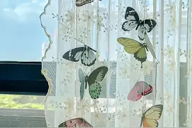 超心动的氛围壁纸 | ​顺其自然得失随意图片