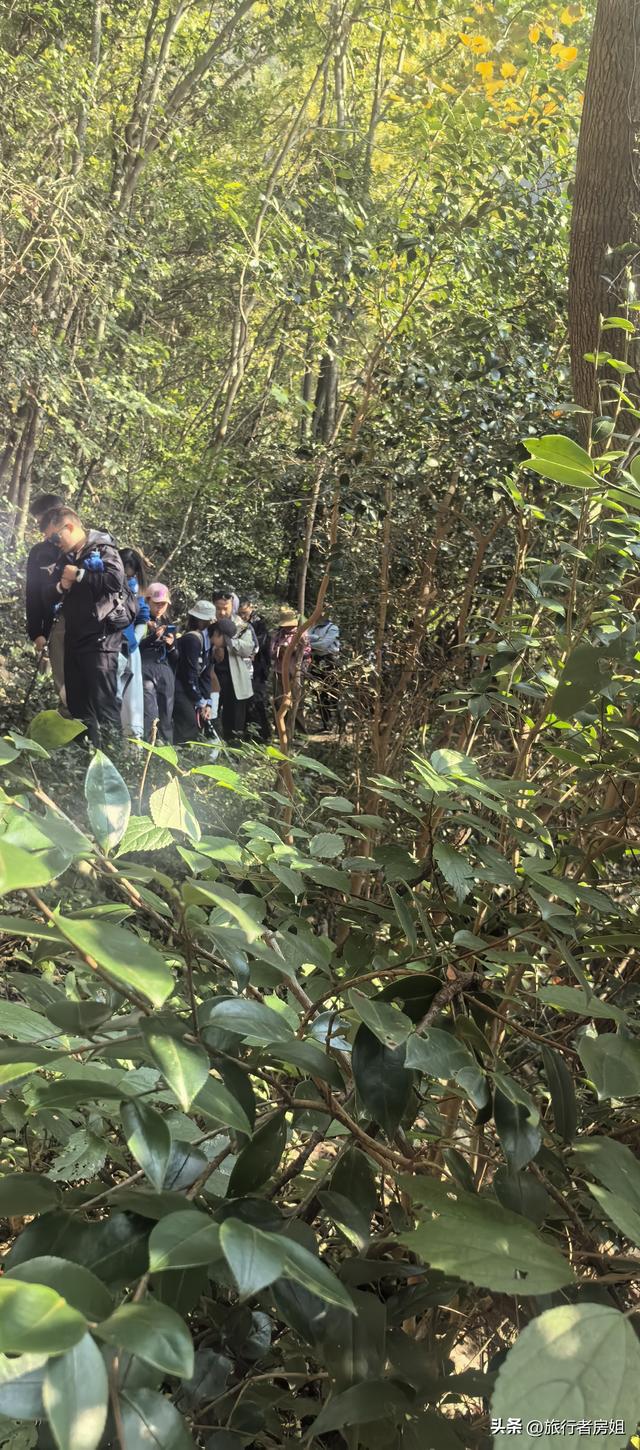 真是醉了，徒步奉化东西岙徐凫岩看悬崖飞瀑堵人竟然堵到怀疑人生