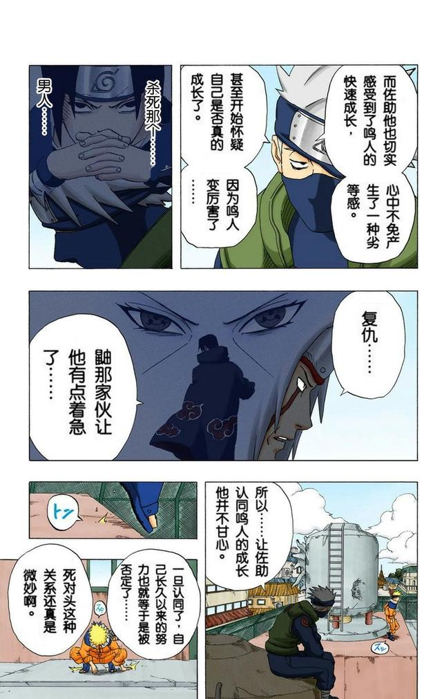 火影忍者彩漫 第二十卷 第五代火影纲手，鸣人佐助天台对决