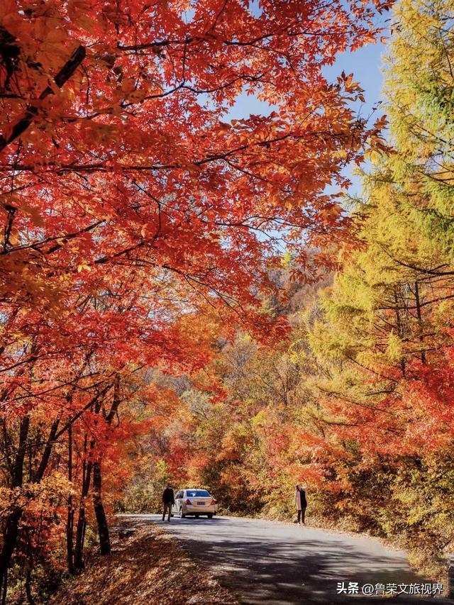 本溪：北国红枫深处的诗意秘境