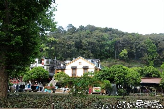 杭州324路公交车沿途风光（皖浙沪旅游122）