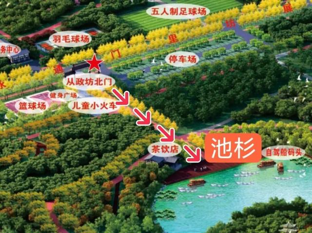 趁天晴出发！洛阳这片杉林红了！无需门票…