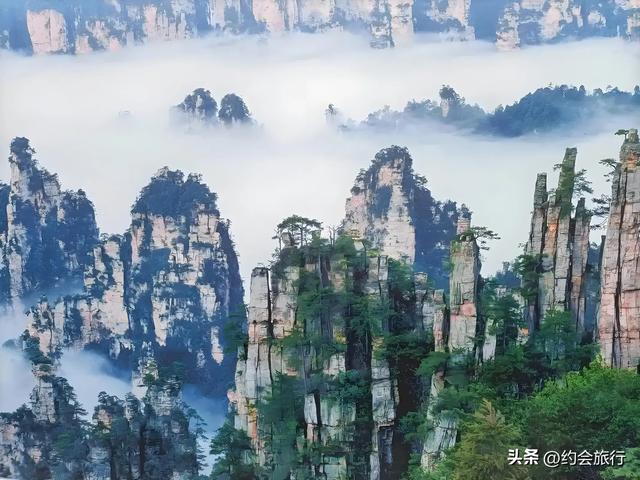 奇了怪了！张家界游客挤爆了，为啥还倒亏3327万？被古城坑惨了？