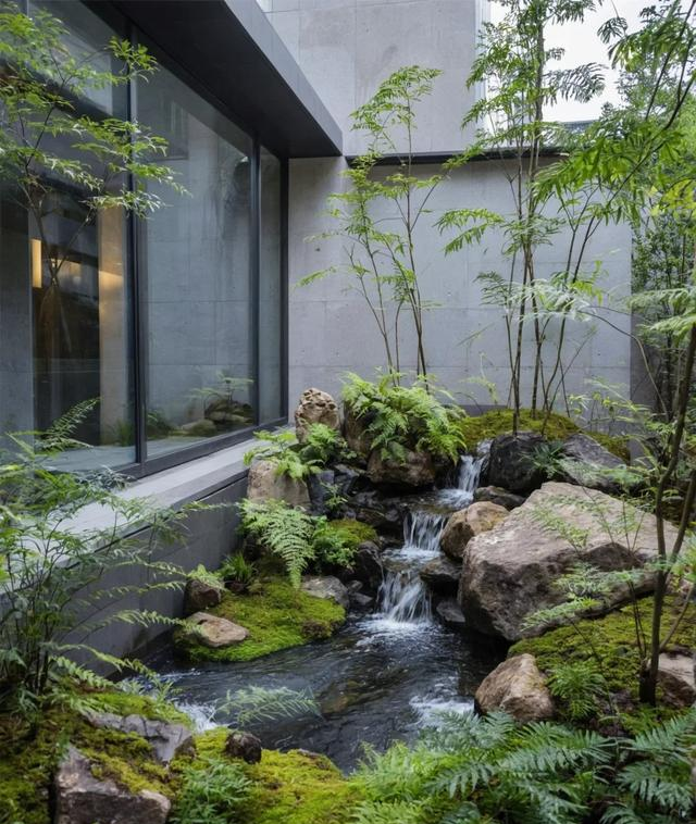 院子越小越要挖水池？没错！这就是“留白”的智慧！