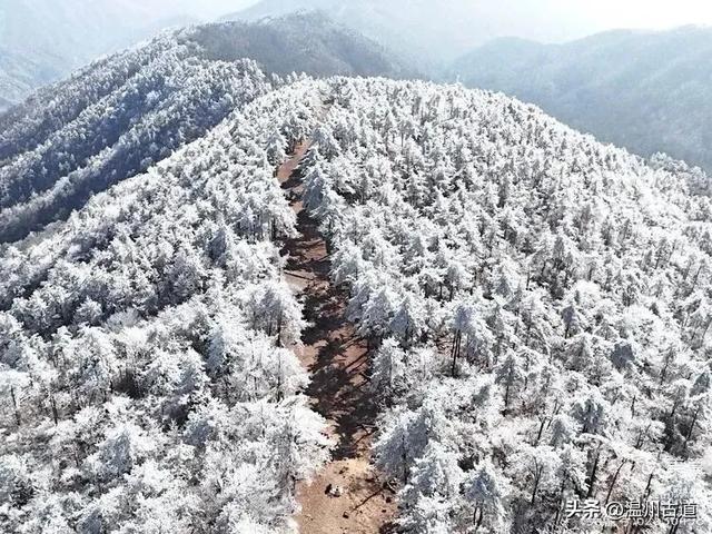 邂逅2026年的第一场醉美雾凇！温州四海山的雾凇美爆了！