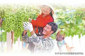 民之所望 改革所向图片