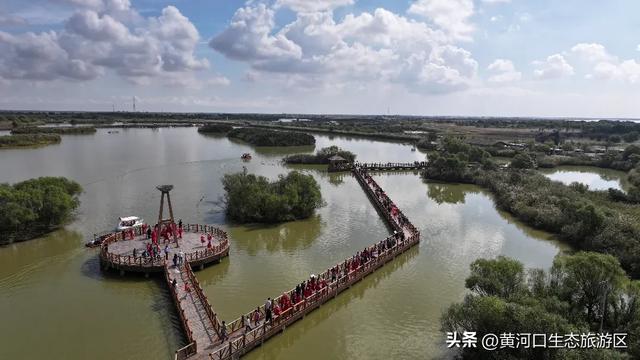 【情满双节游东营】​黄河口生态旅游区 国庆精彩瞬间 美好永不散场
