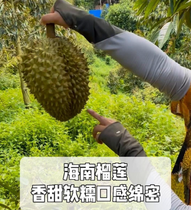 失去中国市场后，大量水果烂地里卖不出去，现在开始后悔得罪中国