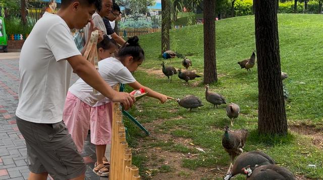 发现北京之美·听中轴新声 | 南中轴的“绿色动脉”，人与自然的“共生剧场”