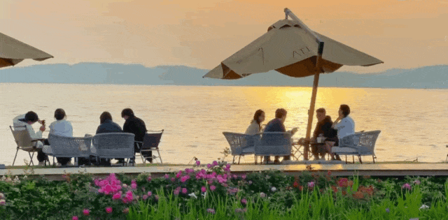 真的很美！2025苏州太湖观鸟超详细攻略来啦！