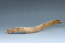 金坛三星村发现龙形骨器图片