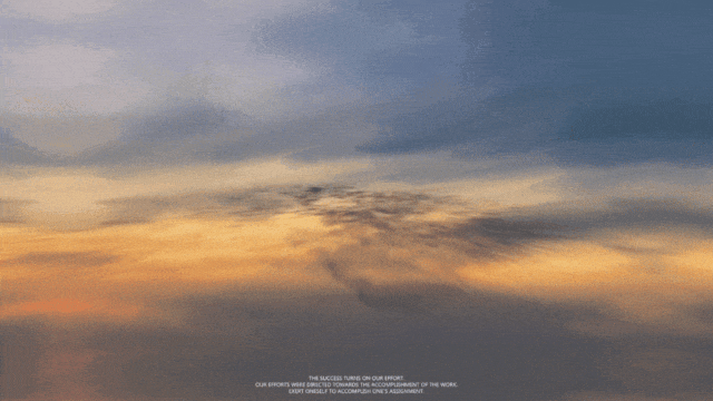 黄河口的“鸟浪”奇观频频出圈!四条经典观鸟线路出炉