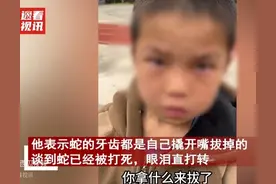 抓蛇拔牙当宠物的广西小男孩，心狠吗？他的眼泪暴露了脆弱和善良图片