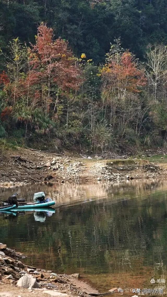 两毁两建，三廊相连，这座全国最长的木拱廊桥‌，就在温州！