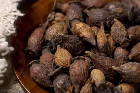 治疗肾脏病，4个常用中成药，你一定要知道图片