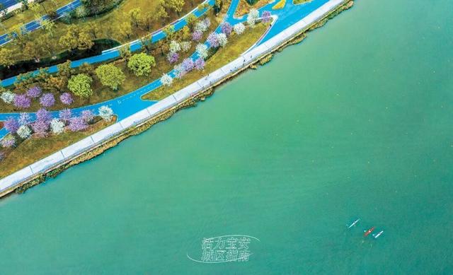 活力宝安城区指南｜山海蓝绿瞬间：山水连城，绿动宝安！