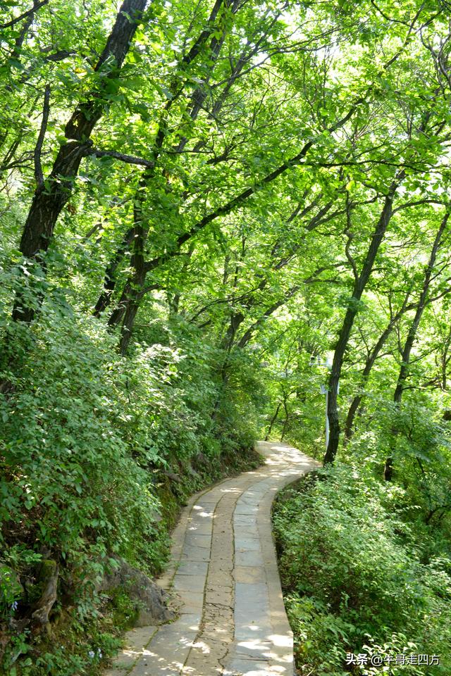 河北百草畔（上）：风动孤石悬险韵，蚁巡深岭蕴生机