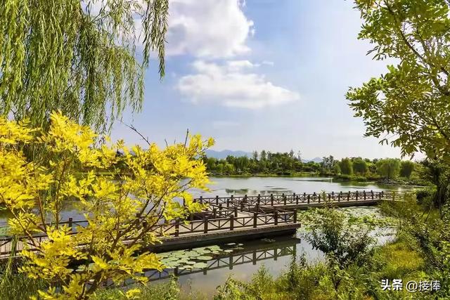 李传尧:章丘玉泉湖公园游记
