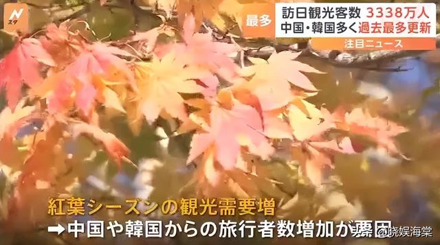 大批中国人仍扎堆登机赴日，日媒采访让人不适，游客回答出人意料