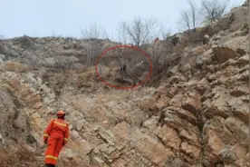 唐山一女童意外坠崖卡在树上，消防员紧急营救图片