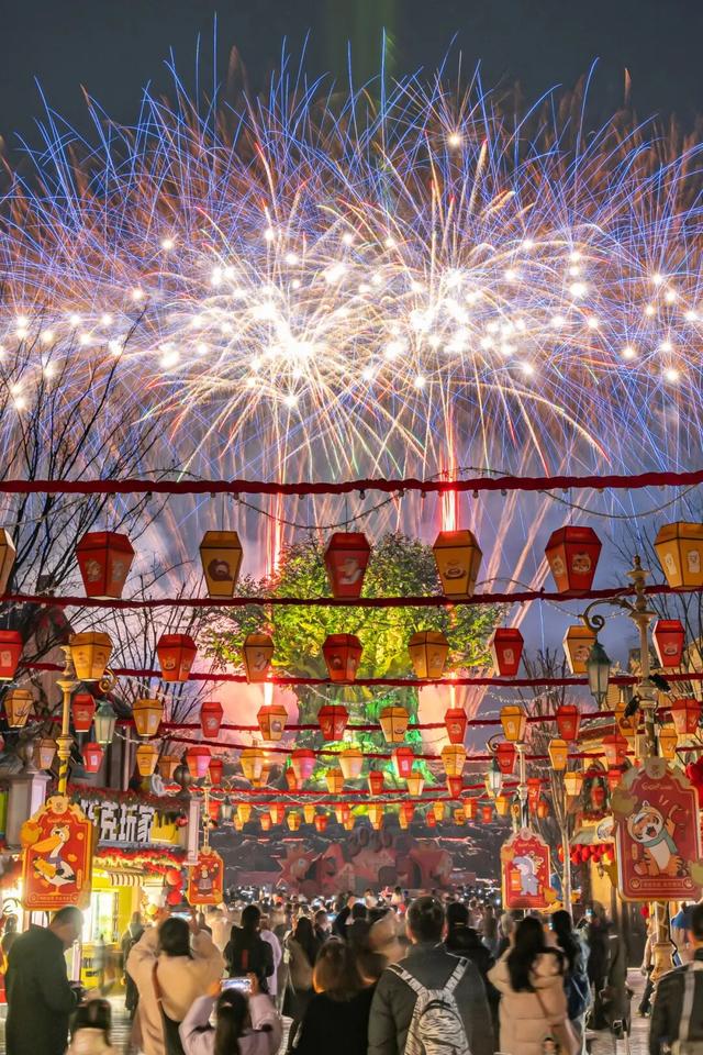 赏花灯，庆佳节！乐海神话世界华灯初上，动物王国喜气满满