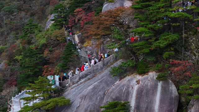 黄山秋景现场播报：云海“开挂”，秋色“沸腾”，抓紧冲