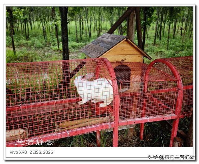 云南普者黑：自由行两日游