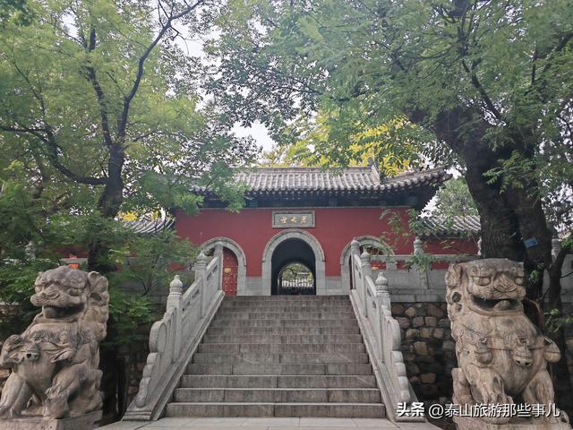 泰安：又是一年重阳时！带家中老人去哪儿走走？推荐一个免费景点