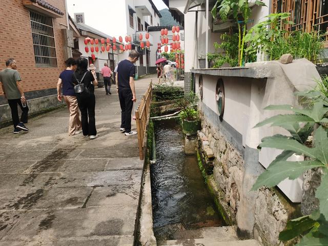 彩色旅图｜临安印象：有人半夜持山去，顿觉浮岚暖翠空