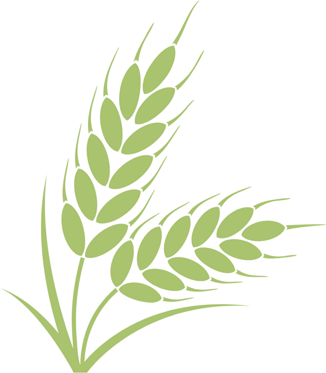 秋假来了！“不知道去哪儿耍”，来新津就对了