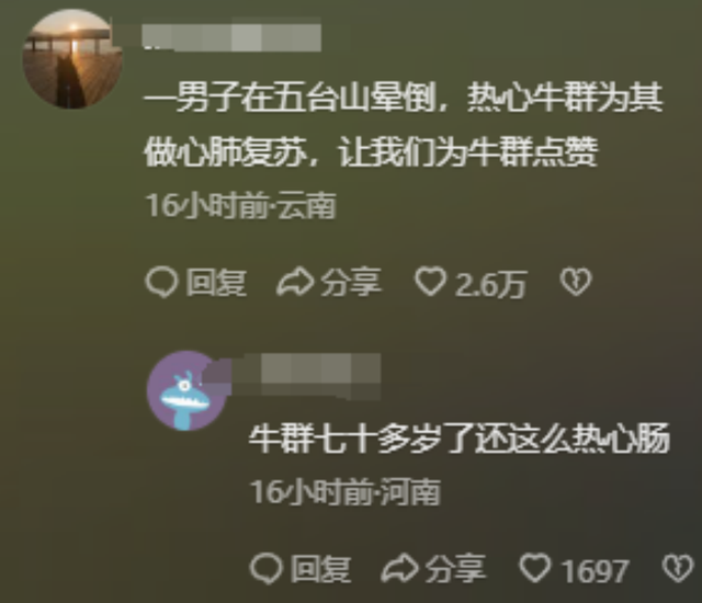 太活该！游客遭牛群踩踏后续，景区还原真相，评论区堪比小品现场