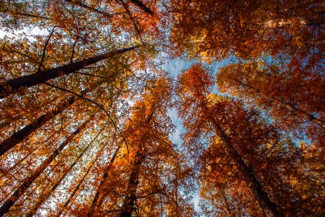 蒙山旅游区大洼秋景