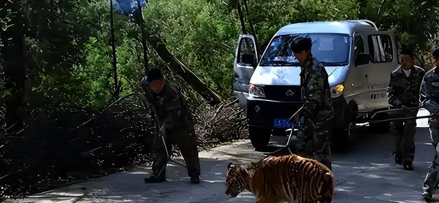 16年，母亲虎口救女被咬身亡，女儿至今未得到父亲原谅：谁的责任