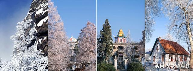 鸡公山入冬成“冰雪仙境”！雾凇压枝、冰挂垂帘