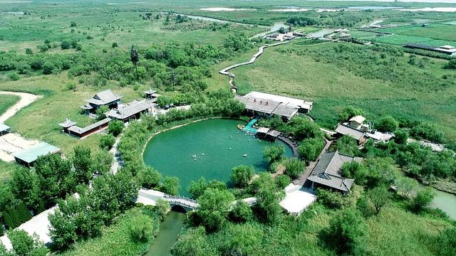 双节假期洽川湿地游人如织 赏湿地风光品诗经诗意