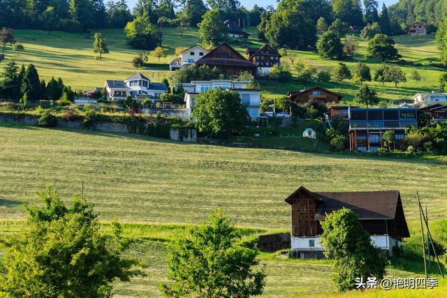 欧游杂记（5）‖ 齿轮火车几上几下瑞吉山，缆车凌空飞跃韦吉斯