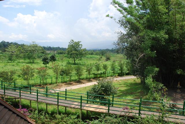 携台湾亲朋自驾游滇西南之十一