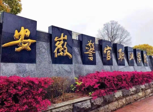 安徽省最顶尖的10所大专：合职院第1，安徽医专第5，安徽警院入围